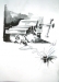 akos_images